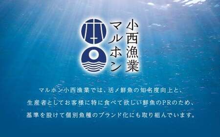 北海道産 特別 な ホッケ の 開き （ 3D冷凍 ） 約800g 一夜干し 魚 焼き魚 脂 干物 ひもの 魚料理 和食 酒の肴 グルメ つまみ おつまみ 北海道 蘭越町