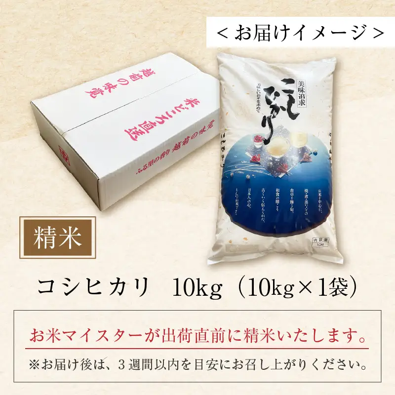 【令和7年産】コシヒカリ 精米 10kg×1袋 《お米マイスターが発送直前に精米！》／ 米 お米 10キロ 福井県産 ブランド米 ご飯 白米 新鮮 [aw064-b009]