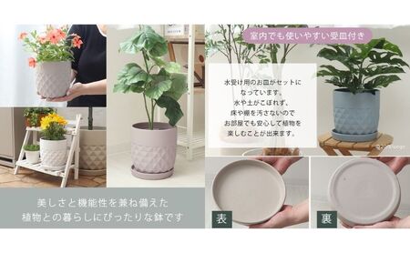 植木鉢 3台 セット crescere クレッシェル 選べるカラー セラミック フラワーポット プランター 鉢 受け皿 大型 中型 観葉植物 ミニ観葉植物 サボテン おしゃれ くすみカラー ガーデニング用品 ガーデニング 園芸 インテリア 兵庫 兵庫県 小野市 ブルージュ