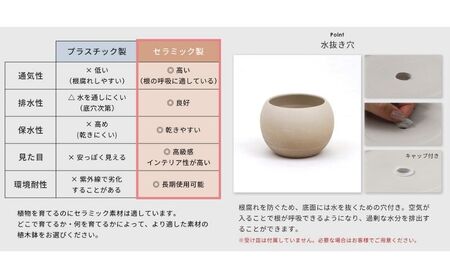 植木鉢 Gonfler(ゴンフレ) 選べるカラー セラミック 約 6号 フラワーポット プランター 鉢 丸い鉢 丸い 丸型 中型 観葉植物 おしゃれ くすみカラー ガーデニング用品 ガーデニング 園芸 インテリア 兵庫 兵庫県 小野市 ライトブルー