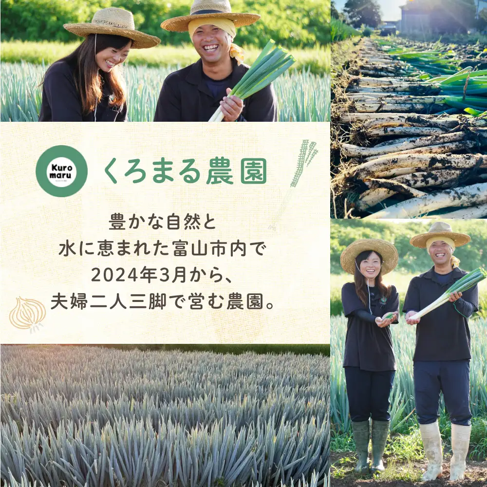 ＜先行予約＞ くろまる農園　富山の白ネギ（泥付き）3キロ