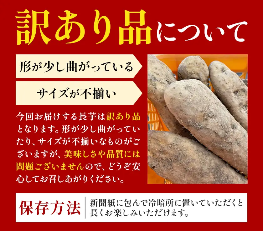2026年 先行予約【訳あり】十勝豊頃産 ながいも 8kg 植村農場 《12月上旬頃から出荷》