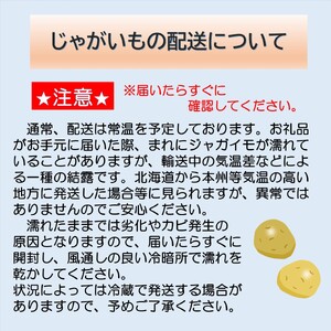 【先行予約】北海道 十勝 秋の味覚野菜詰め合わせ（ごぼじゃがセット）【2026年秋出荷】