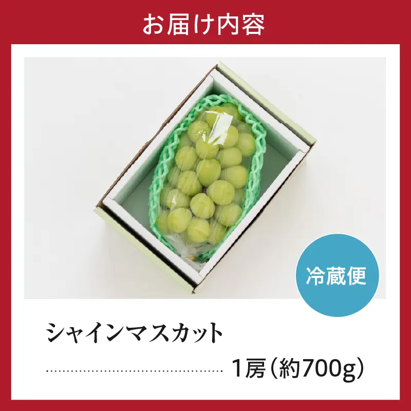 【先行予約】 令和8年産 シャインマスカット 1房 約700g 山形