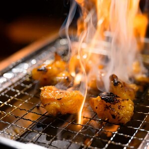 うま辛幻の鶏ホルモン約300g | 鶏肉 鶏  焼肉 BBQ バーベキュー アウトドア 料理 国産 