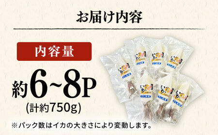 剣先イカ 750g(約6〜8本) セット【丸徳水産】《対馬市》鮮度抜群 新鮮 ケンサキイカ シロイカ 下処理済 刺身 BBQ 惣菜 天ぷら フライ 海鮮[WAE012]