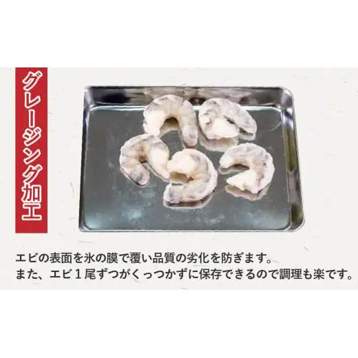 【 えび 】 ブラックタイガー 定期便 約1.2kg × 6回 えび