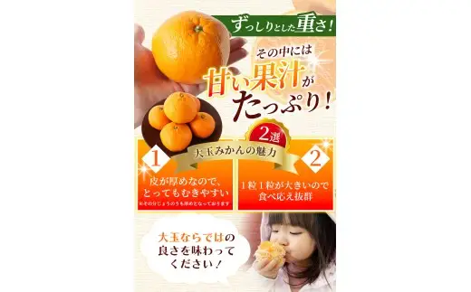 ボリューム満点！大玉  温州みかん 2kg ※秀優混合【2L～3Lサイズ】【2026年12月から2027年3月下旬頃に順次発送】＜味好農園＞/ 温州 蜜柑 みかん 柑橘 果物 フルーツ ミカン 甘い 美味しい【agy004-l-2】