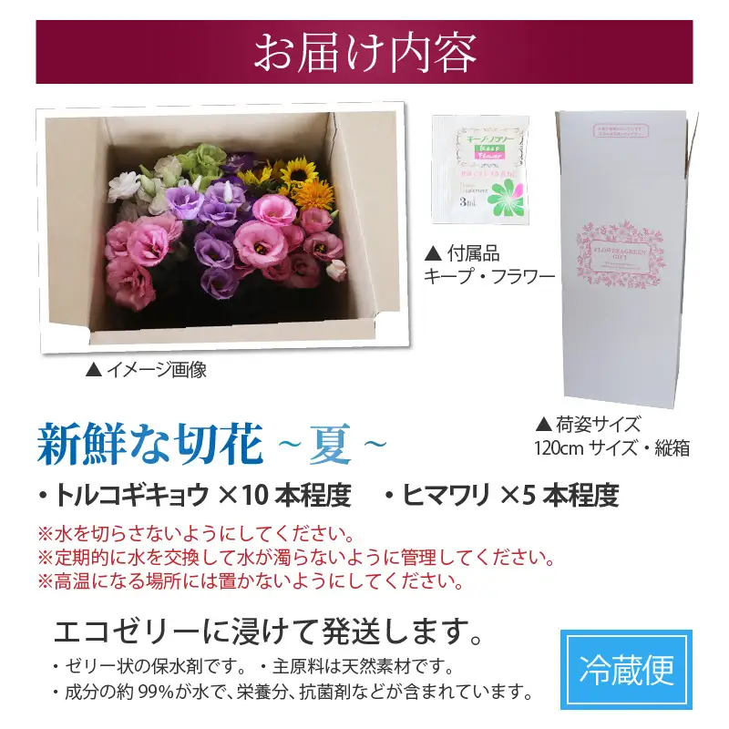 【先行予約】花農家直送 新鮮な切花【夏】 / 生花 お花 旬の花束 豊かな生活 花のある生活 15本程度 2種 季節 花 ※2026年8月上旬以降発送予定 [aw099-a002]