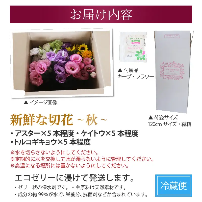 【先行予約】花農家直送 新鮮な切花【秋】 / 生花 お花 旬の花束 豊かな生活 花のある生活 15本程度 2種 季節 花 ※2026年9月中旬以降発送予定 [aw099-a003]