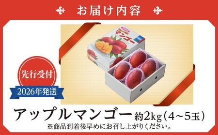 (先行受付)【2026年発送】アップルマンゴー 南城市 約2kg (4～5玉)