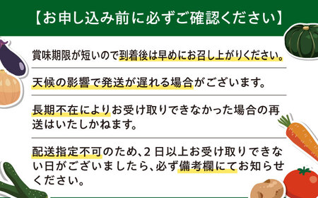 【先行予約】 赤肉メロン 大玉1玉 [AJAH028] メロン