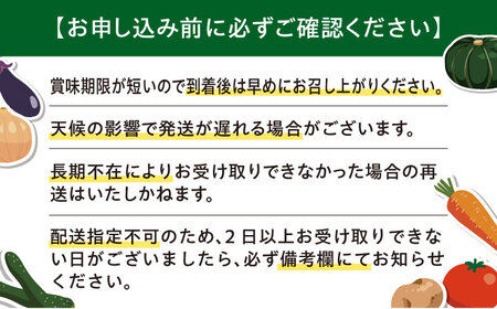【先行予約】青肉メロン 大玉2玉 [AJAH030] メロン