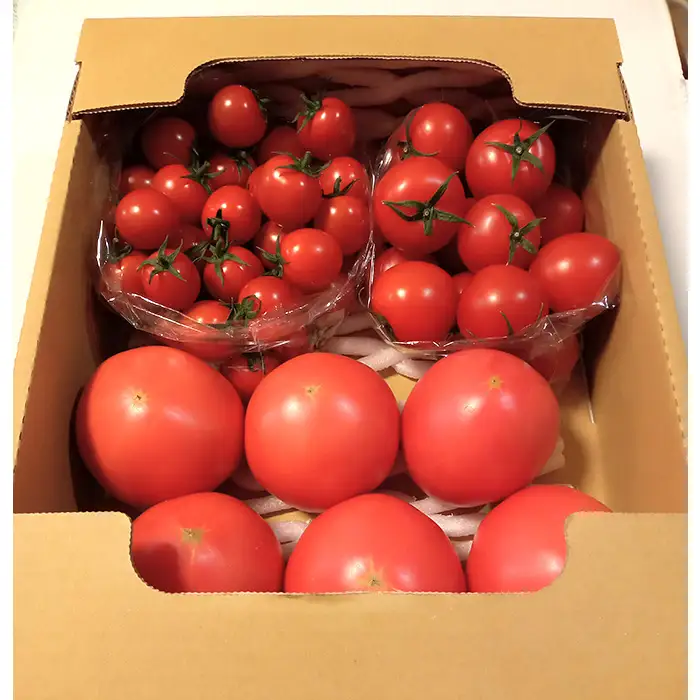 トマト いろいろ詰合せセット 1.8kg入り箱 ／ とまと 野菜 新鮮 完熟 ミニ 中玉 大玉 3種類 詰め合わせ セット 食べ比べ 産地直送 農家直送 サラダ 行田市産 埼玉県 特産 No.508