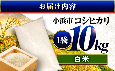 コシヒカリ 精米 10kg 小浜市産 こしひかり [BFEK001]
