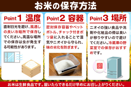 米 令和7年産 サキホコレ【精米】秋田ブランド米 5kg（5kg×1袋）秋田県大仙市産