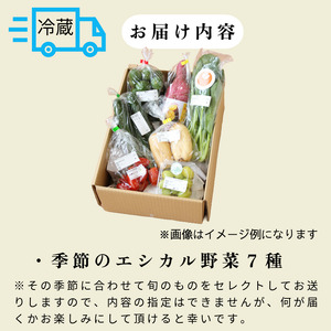 野菜 7種セット 旬の野菜 詰め合わせ おまかせ 新鮮 採れたて 産地直送