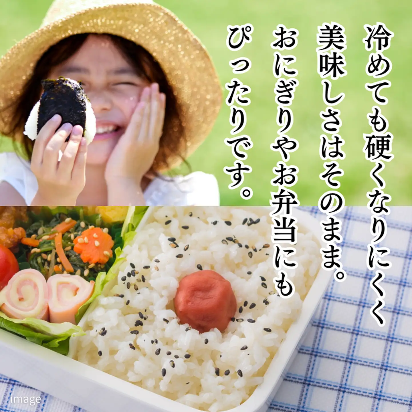 令和7年 佐賀県産 特A米 食べ比べセット「さがびより」5kg「夢しずく」5kg：B220-051