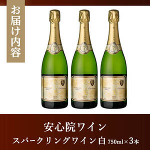 安心院スパークリングワイン白(750ml×3本) 酒 お酒 ワイン 白ワイン アルコール 飲料 ぶどう 葡萄 ギフト 贈り物【104304800】【山添産業】