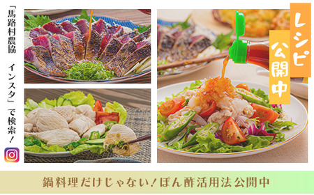 【ゆずの村ぽん酢/360ml×1本】 ポン酢 ぽん酢 ゆずぽん酢 ゆずポン酢 調味料 ユズ 柚子 贈答用 ギフト お歳暮 お中元 母の日 父の日 敬老の日 のし 熨斗  国産 有機 オーガニック ドレッシング 鍋 水炊き 高知県馬路村 【463】