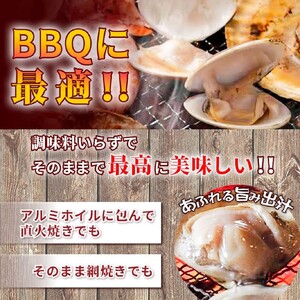 訳あり はまぐり 規格外 大はまぐり 2パック 計 800g 貝 海鮮 魚介 海の幸 ハマグリ 蛤 海産物 国産 天然 産地直送 千葉県 九十九里 九十九里浜