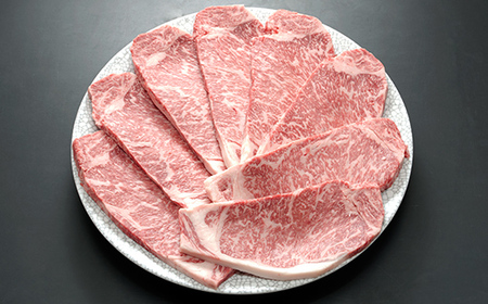 飛騨牛 ステーキ ロースステーキ 400g 200g×2枚 牛肉 最高級 肉 霜降り BBQ 焼肉 F6M-315