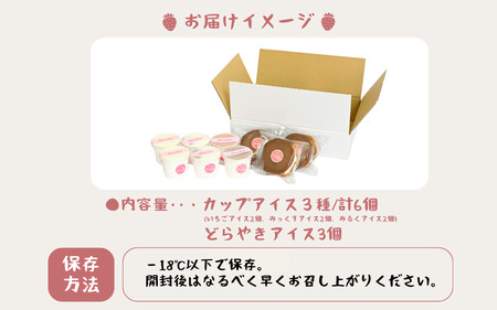 自家製カップアイス3種＋どら焼きアイスセット[B-045002 ] 
