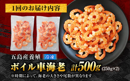 【3回定期便】五島特産 ボイル 車海老 エビ 尾付き むきえび 500g (250g×2P) 五島市/拓水 五島事業場[PCU010]