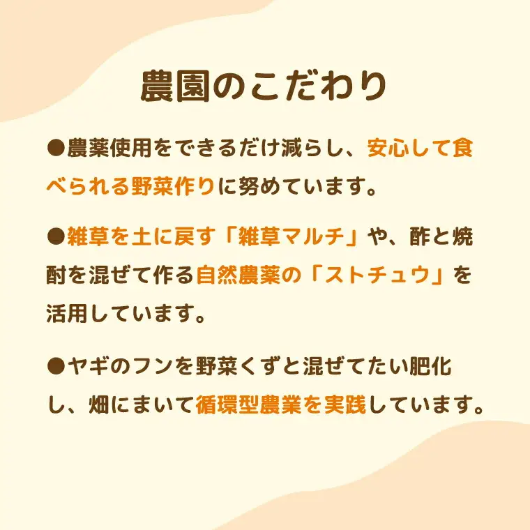不登校児童生徒の農業体験の支援 （農園スタッフとして参加） 〈 サポート 学び 食育 収穫体験 農業体験 体験 収穫 野菜 子供 親子 農作物 ふるさと納税 柏 〉