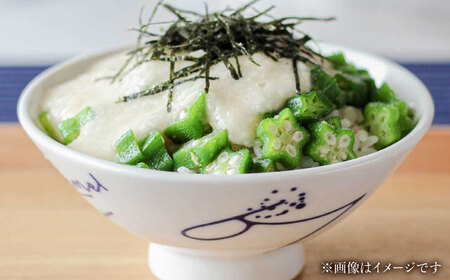 【瀬戸焼】 青 茶碗セット (Mサイズ 2個) souzyu-en modern 【双寿園】 / 茶碗 食器 モダン ペア / 瀬戸市[BBBI034]
