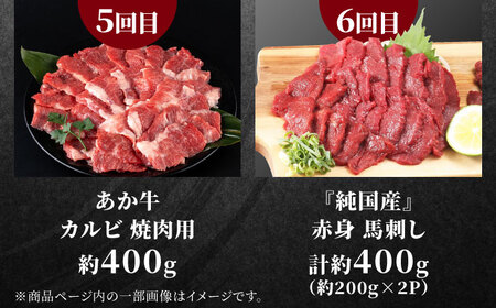 6回定期便 合志市食卓応援定期便 馬刺し天草大王香心ポークAYZZ005