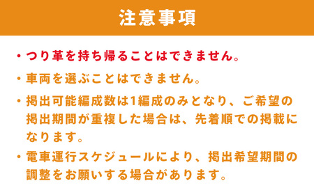 【伊豆箱根鉄道駿豆線 共通返礼品】市町オリジナルデザインつり革にメッセージ掲載（伊豆市・伊豆の国市・函南町・三島市）駿豆線車内掲出サービス