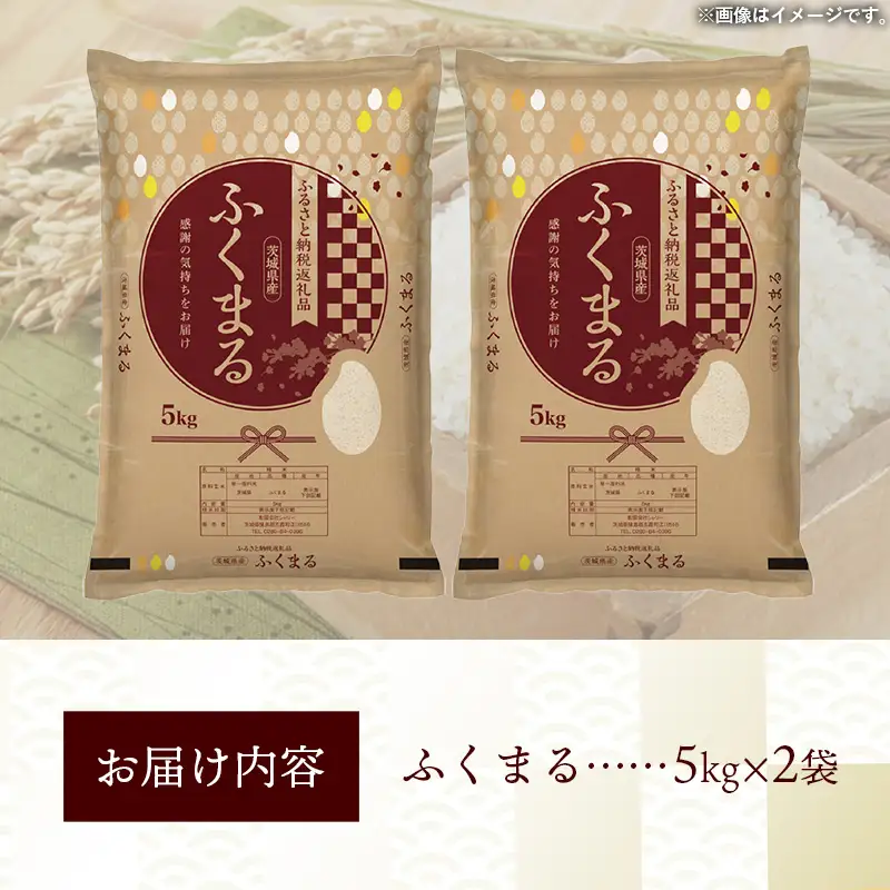 令和7年産 お米 精米 ふくまる 10kg 茨城県産 特A米 特A評価 【価格改定X】