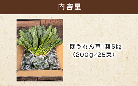 ほうれん草！どっさり 5kg 【栽培30年以上の山下さんの新鮮採れたてほうれん草】　SMCX001 