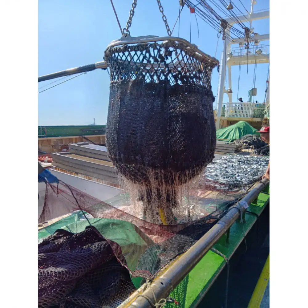 鳥取県産こだわりのアジフィーレフライ(計1.2kg)