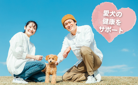 【ドッグフード】シカのジャーキー5種セット