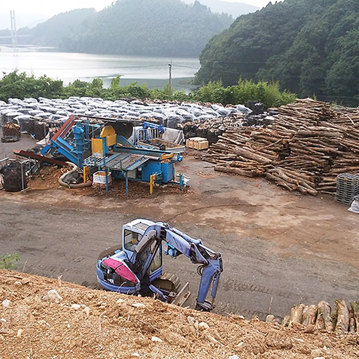 薪の王様「樫」：B140-032