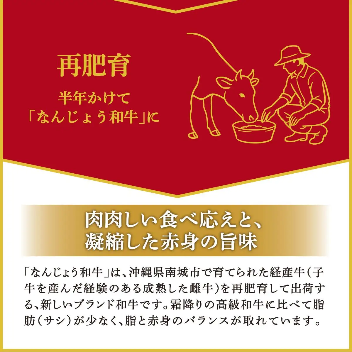 黒毛和牛　なんじょう和牛３種セット(約600g)   