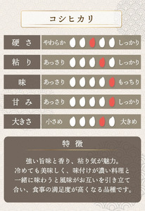 【定期便6回】コシヒカリ  2kg（1kg×2）令和7年産 [095-t06-a201]