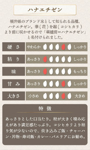 【定期便6回】ハナエチゼン 精米 2kg（1kg×2）令和7年産 [095-t06-a210]