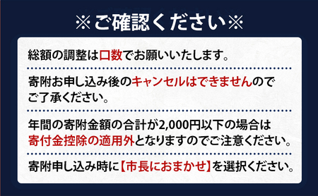 北海道 赤平市 寄附のみの応援受付 65,000円コース（返礼品なし 寄附のみ 65000円）