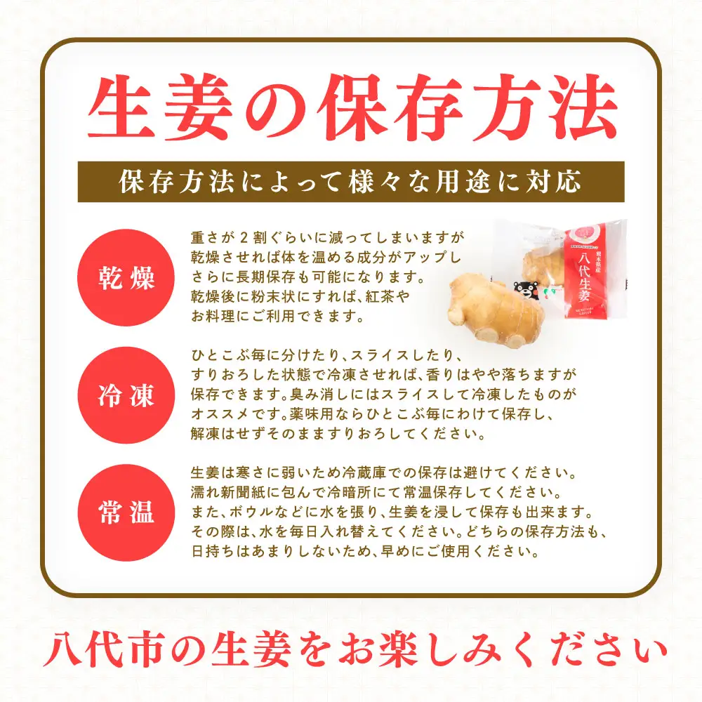八代生姜80g×10パック 合計800g しょうが ショウガ ガリ ジンジャー 野菜 食品 薬味 生姜焼き しょうが焼き 温活 冷え性 対策 熊本県 八代市 東陽町 産地直送 国産