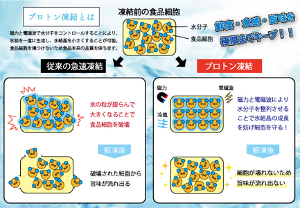 【訳アリ】養殖本マグロ 赤身･中トロ･大トロ 450g 黒潮本まぐろ 不定貫 刺身 海鮮 産地直送