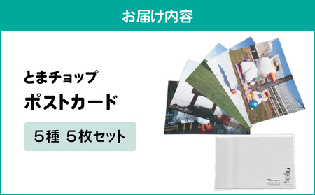 ポストカード 5枚セット T042-019 雑貨 文房具