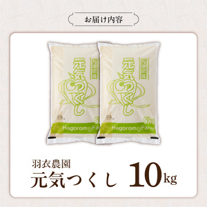 2025年新米 羽衣農園 元気つくし 白米 10kg（5kg×2） _ 2025年 新米 5kg × 2袋 計 10kg 福岡県産 精米 ブランド米 銘柄米 つやつや モチモチ 程よい粘り 冷めても美味しい ご飯 白ご飯 おにぎり 弁当 お米 食品 お取り寄せ 福岡県 久留米市 送料無料  〔Gr075〕
