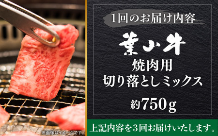 【全3回定期便】葉山牛750g　焼肉用ミックス 牛肉（ロース、モモ、カルビ等） 食べ比べ[ASBD031]