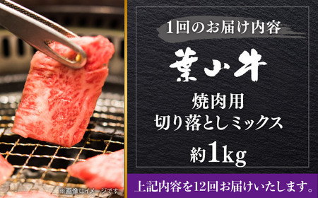【全12回定期便】葉山牛1kg　焼肉用ミックス 牛肉（ロース、モモ、カルビ等 4種類 ) 食べ比べ[ASBD036]