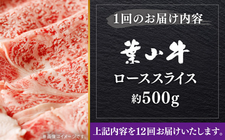 【全12回定期便】【葉山牛】500g　ローススライス ／ 牛肉 黒毛和牛 神奈川県 特産品【葉山牛ステーキレストラン 角車】[ASBD043]