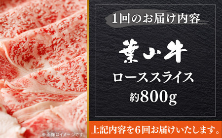 【全6回定期便】【葉山牛】800g　ローススライス ／ 牛肉 黒毛和牛 神奈川県 特産品【葉山牛ステーキレストラン 角車】[ASBD045]