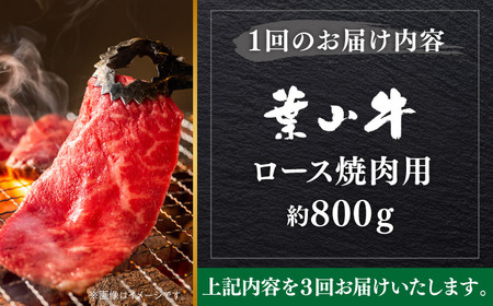 【全3回定期便】【葉山牛】800g　ロース焼肉用 ／ 牛肉 黒毛和牛 神奈川県 特産品【葉山牛ステーキレストラン 角車】[ASBD057]